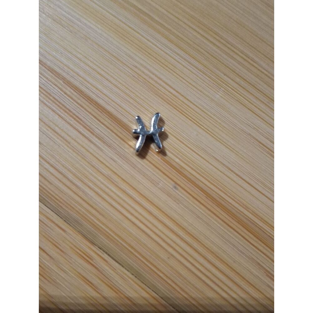 Pisces ♓️ Zodiac Charm For Floating Lockets